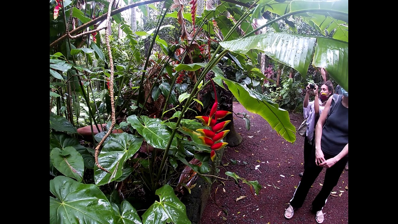 Jardin des parfums et des épices de Saint Philippe