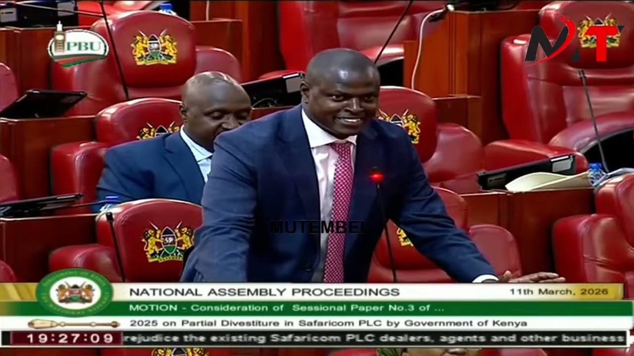 Drama as Caroli Omondi Educates MPs on why they are Selling Safaricom Cheaply!!