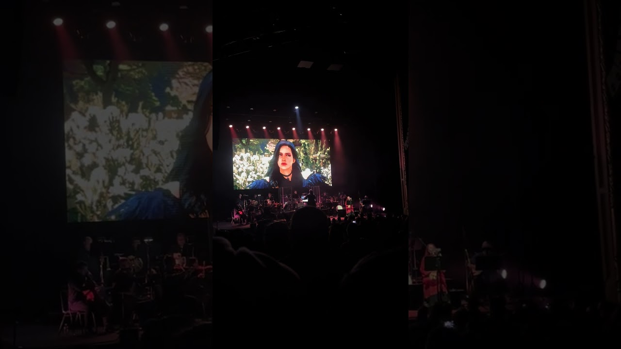 The Witcher in Concert - Boston - 05/31/2025 - Novigrad/Wolven Storm