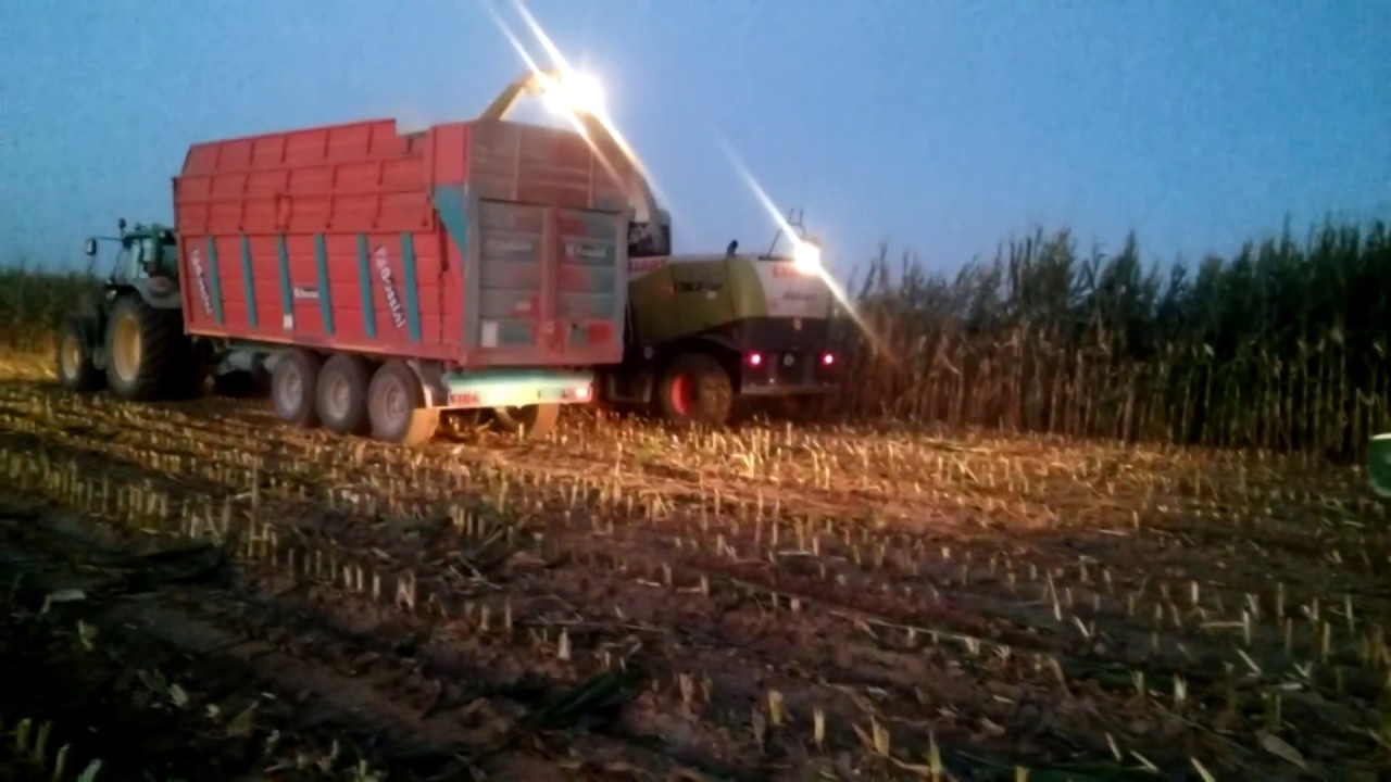 Insilato Mais BY NIGHT - Team Baschirotto - Claas Jaguar 870 + John Deere  + Bossini