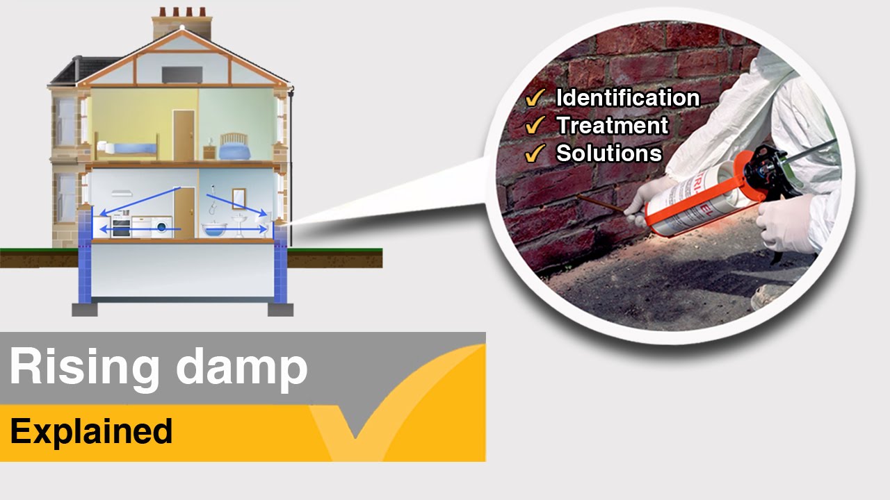 Rising Damp Solutions - A Rising Damp Treatment Guide