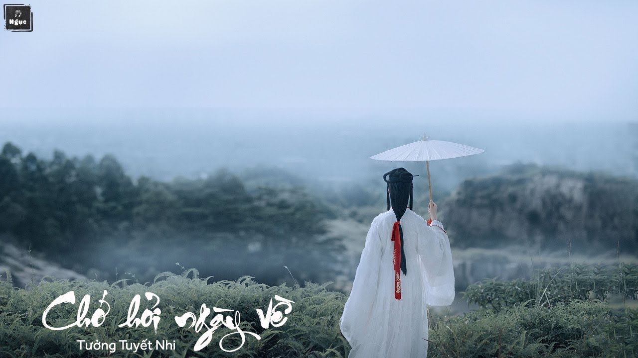[ Vietsub + Pinyin ] Chớ Hỏi Ngày Về (Mạc Vấn Quy Kỳ) - Tưởng Tuyết Nhi | 莫问归期 - 蒋雪儿