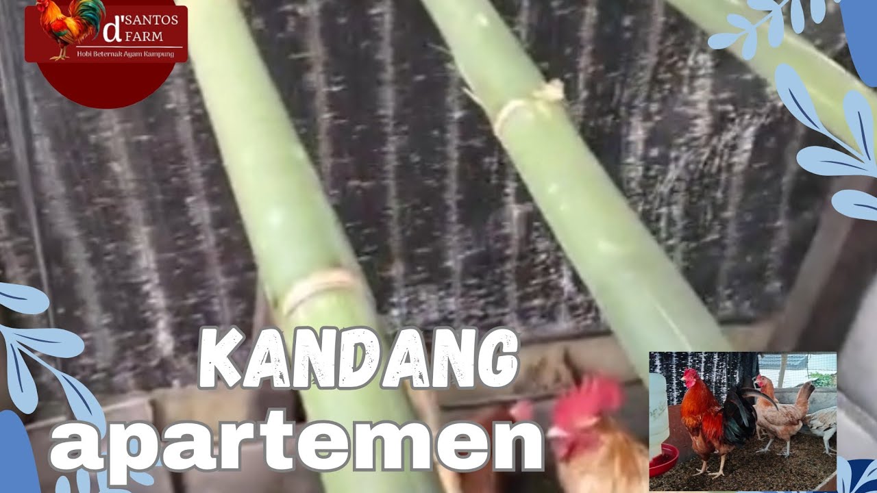 KANDANG APARTEMEN!!! PILIHAN UNTUK LAHAN TERBATAS 