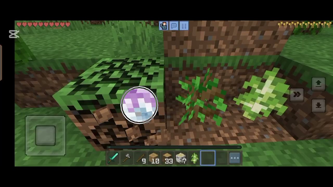 ٣ فبراير ٢٠٢٦