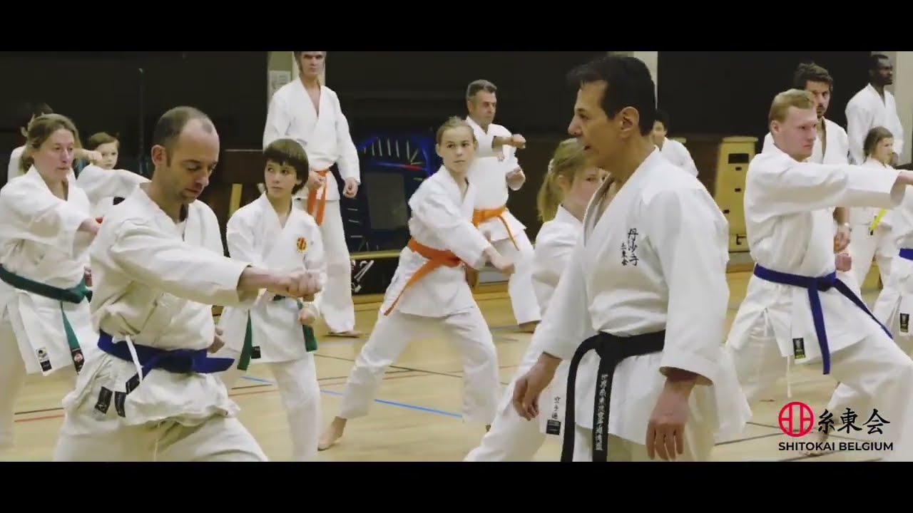 International Shitoryu Karatedo Technical Seminars with WSKF Masters in Belgium.