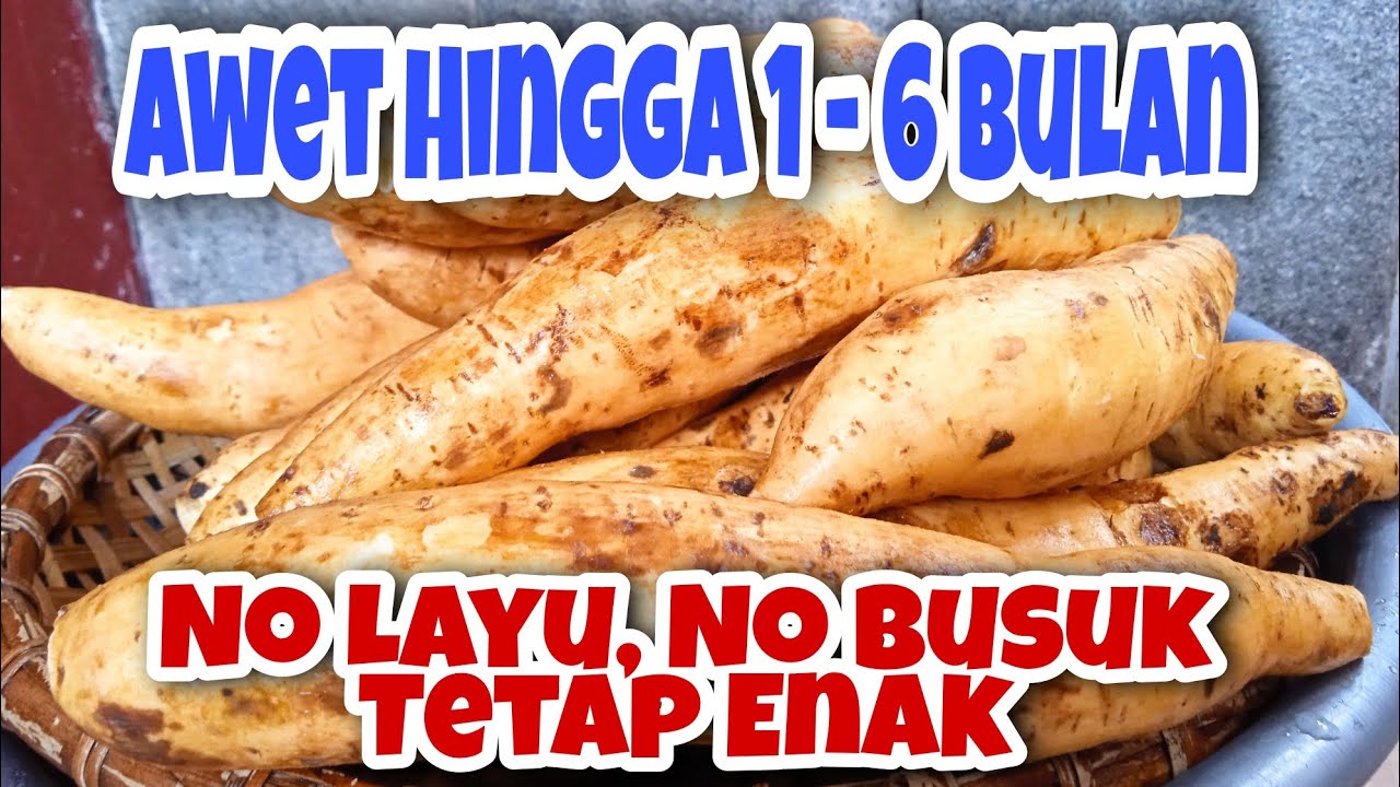 Cara Menyimpan Ubi Jalar Agar Tahan Lama⁉️Awet Hingga 1-6 Bulanan an‼️