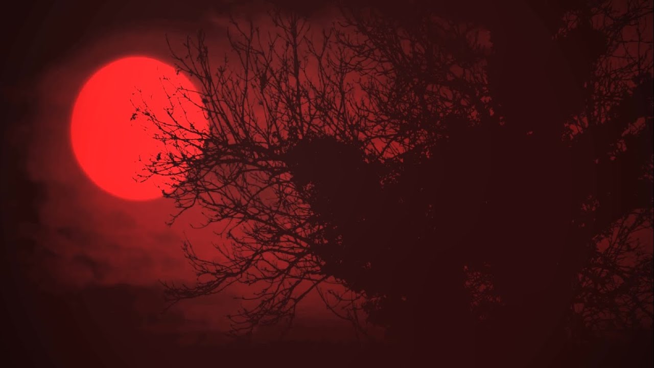 Michael Jackson THRILLER Empty Arena + Extended Intro