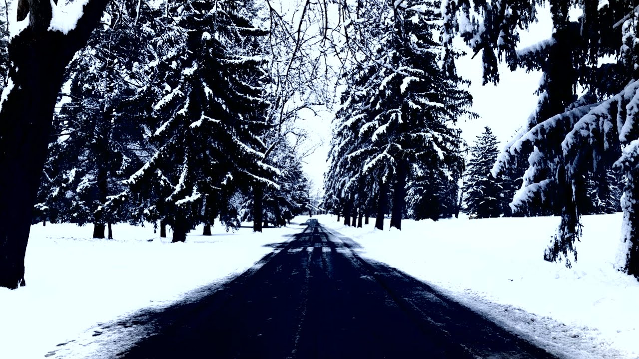 Transilvanian Hunger Philharmonic | Darkthrone Cover