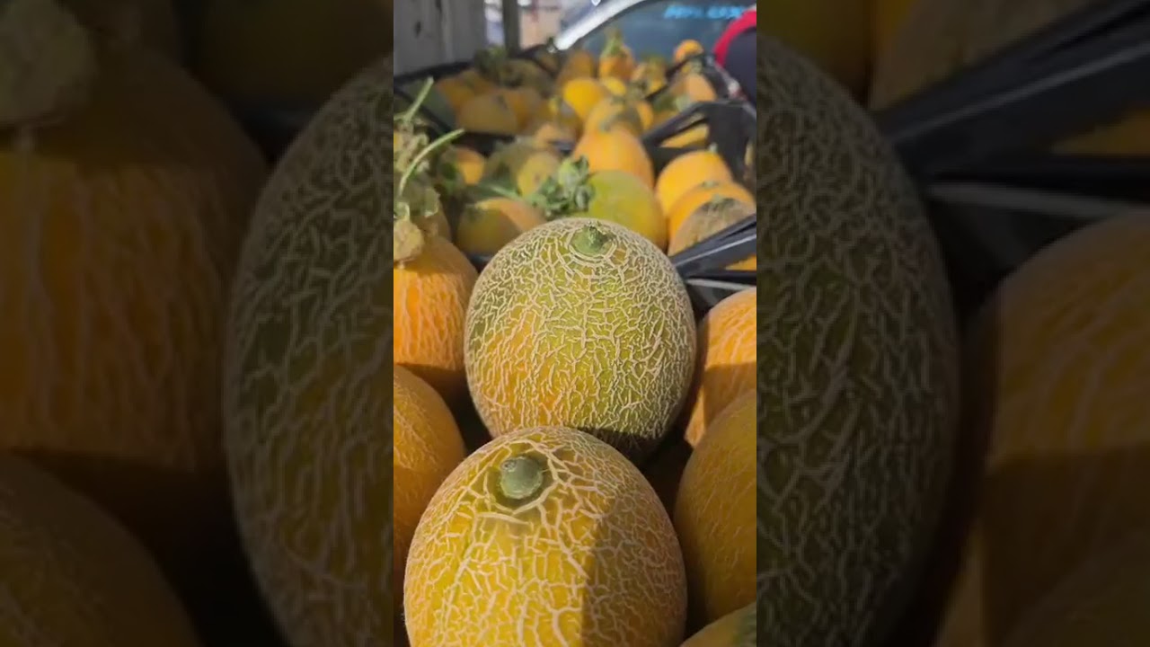 اسعار الخضر والفواكه في سوق الجملة مزيرعة لولاية بسكرة ليوم الخميس 05 مارس 2026 أسواق الجزائر