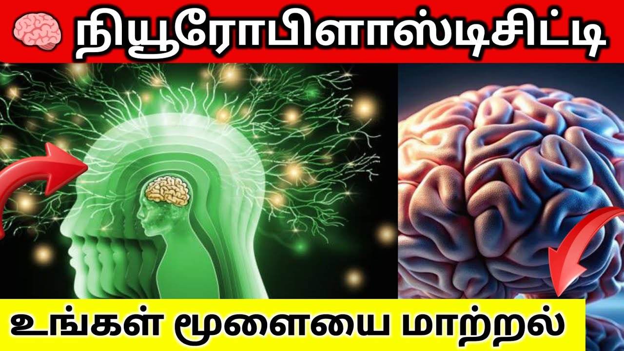 🧠 நியூரோபிளாஸ்டிசிட்டி என்றால் என்ன? | What is Neuroplasticity in Tamil 