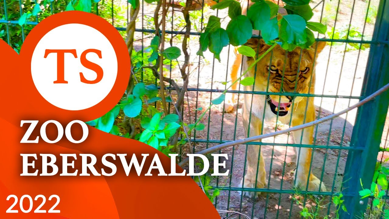 Zoo Eberswalde - Atrakcje w Niemczech blisko granicy z Polską i Szczecina