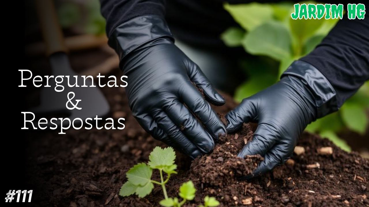 Cultivo de Cannabis - PH da Rega, Bags de CO2 e Temperatura