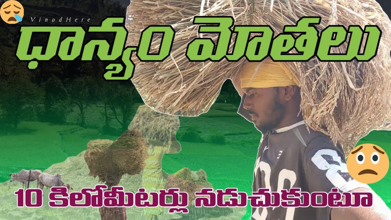 VARI MOTHALU 10 KM NADUCHUKUNTU  CHOOKALU KANIPINCHAI || VINODHERE || YOUTUBE CHANNEL || SUBSCRIBE |
