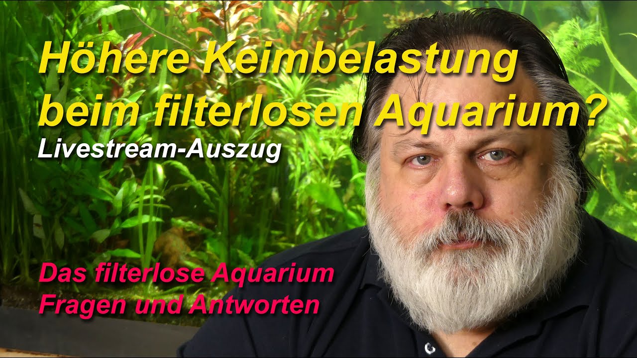 Keimbelastung beim filterlosen Aquarium bzw. beim Diffusionsfilter Light.