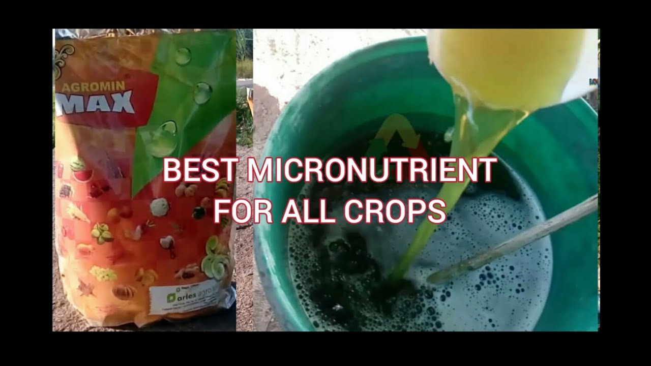 Agromin Max micronutrient for all crops | Aries Agro | increase more yield
