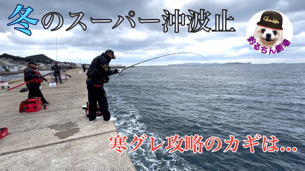 60cm級が沈むと言われる生月沖波止に出撃してみたら・・・【🐦🐦】