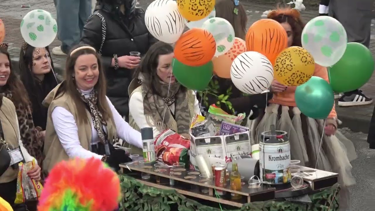 Rosenmontagszug wüllen 2026
