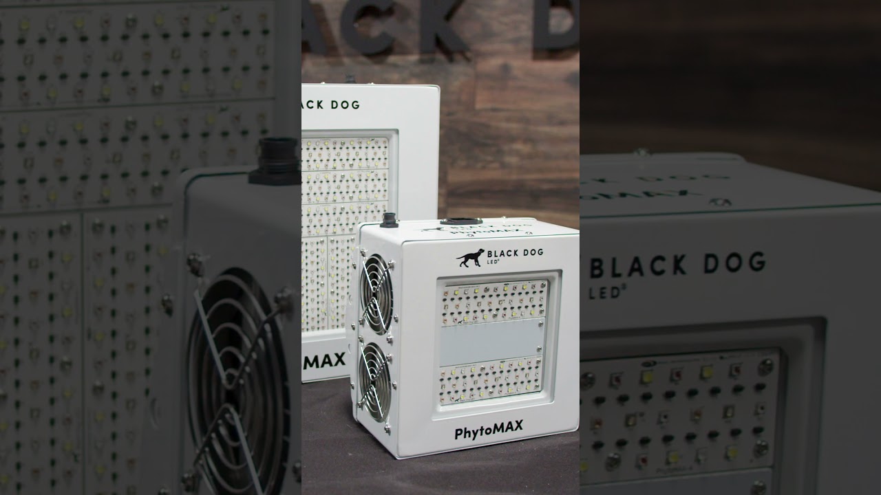 Black Dog LED PhytoMAX-4 is a powerful grow light designed to maximize plant growth and yields.