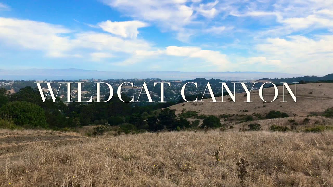 WILDCAT CANYON, RICHMOND CA.