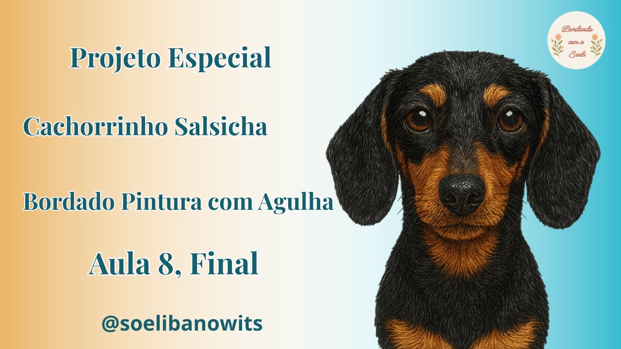 Projeto Especial Cachorrinho Salsicha em Bordado com Agulha, Aula 8, Final