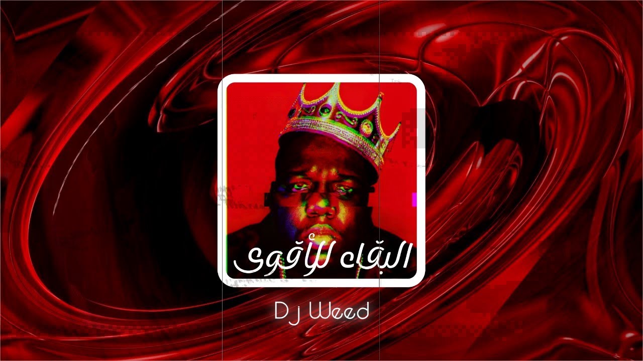 Dj WeeD Vs TheOdor , AsSaSsiN , Shadow OF KinG #البقاء_للأقوى