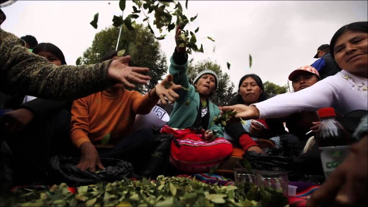 Willy Catramina - Chiste de bolivianos parte 1