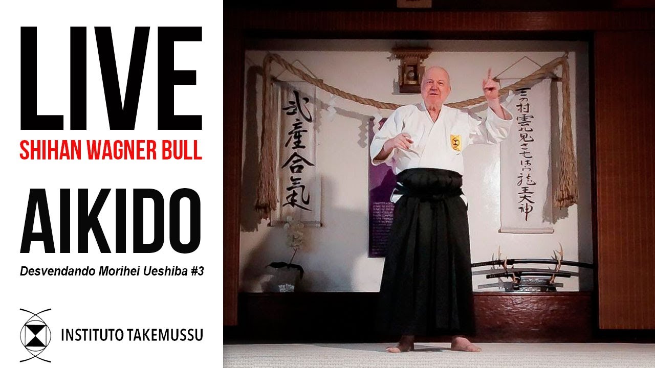 Aikido Takemussu Aiki. Live Shihan Wagner Bull #3