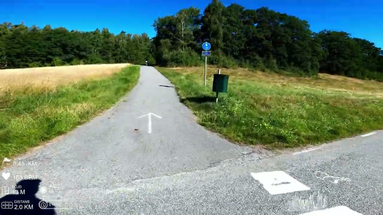 Virtual run #49: (2 h 15 min, 22 km, 6:05 min/km) Last 22k of Lidingöloppet (4K)