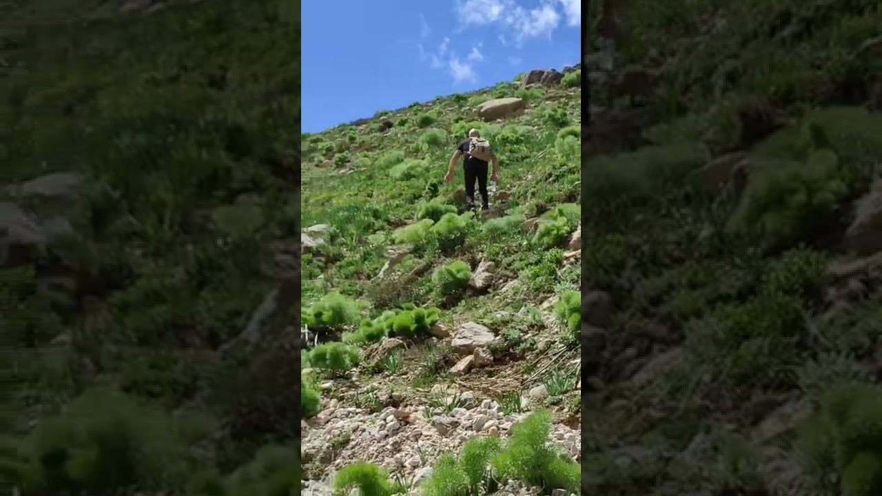 Dersim/Pülümür' Kocatepe köyü ve yalmanlar Köyü' ile Buyer Ana gölü alt kısımları.