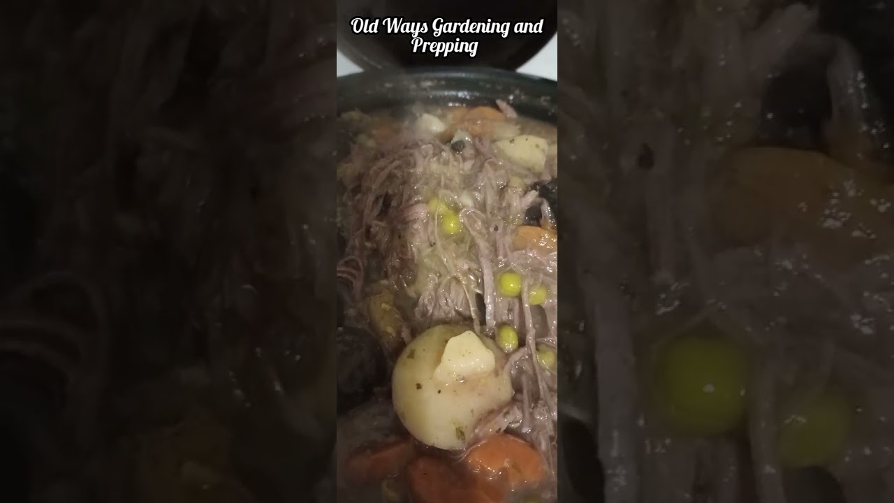Dinner Time
