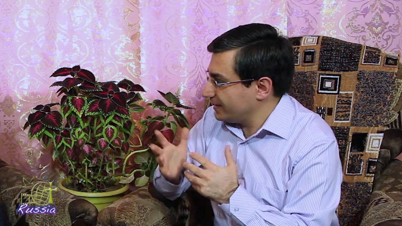 Հրաշալի գործեր   Վկայութիւն Կիւլիզար Մամոեան