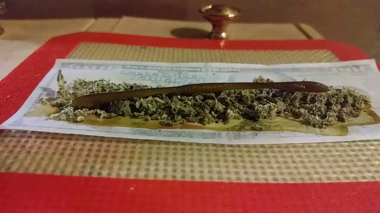 😼ROLLING UP $100'S WITH LEO