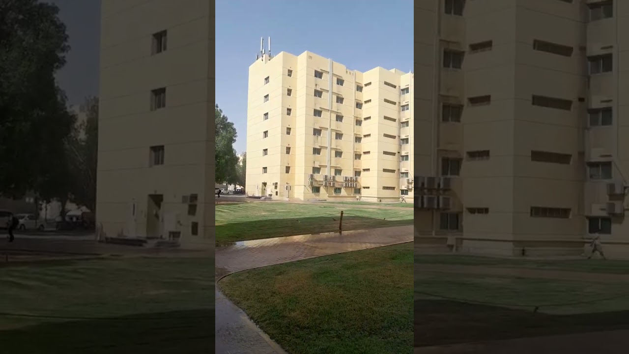 Weone world security company in dubai camp