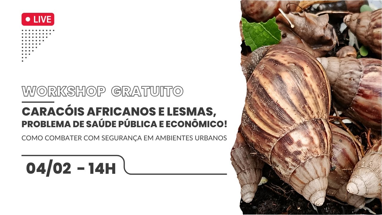 Workshop: Caracóis Africanos e Lesmas — Problema de Saúde Pública e Econômico!