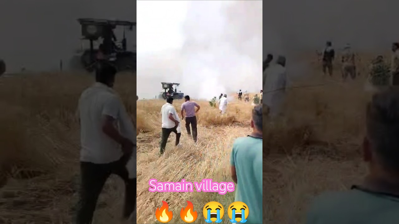 😭It affected the wheat crop. There was a huge loss today.🔥🔥#farmer #shorts #agriculture #fire #wheat