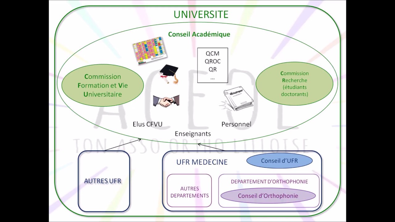 Le fonctionnement de l'Université et ses conseils