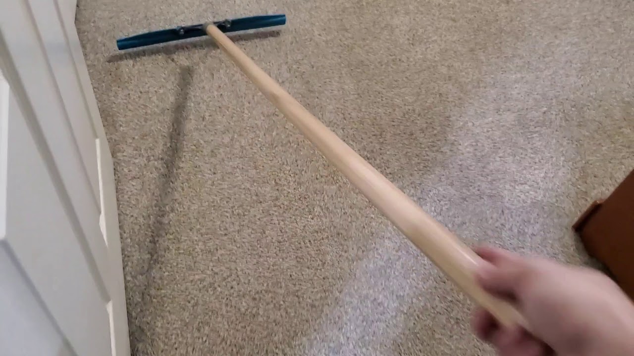 Some raking and Carpet Cleaning