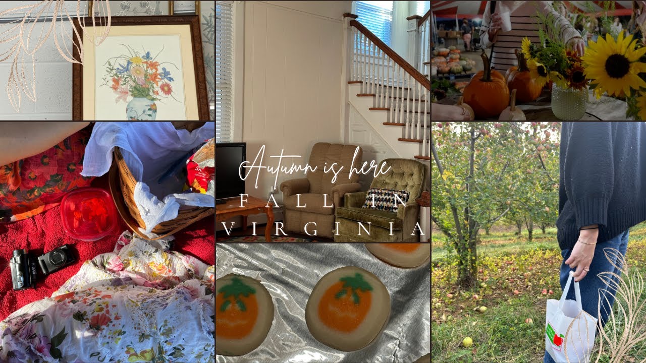 Autumn vlog: fall festivities, picnics, education talks, and goats