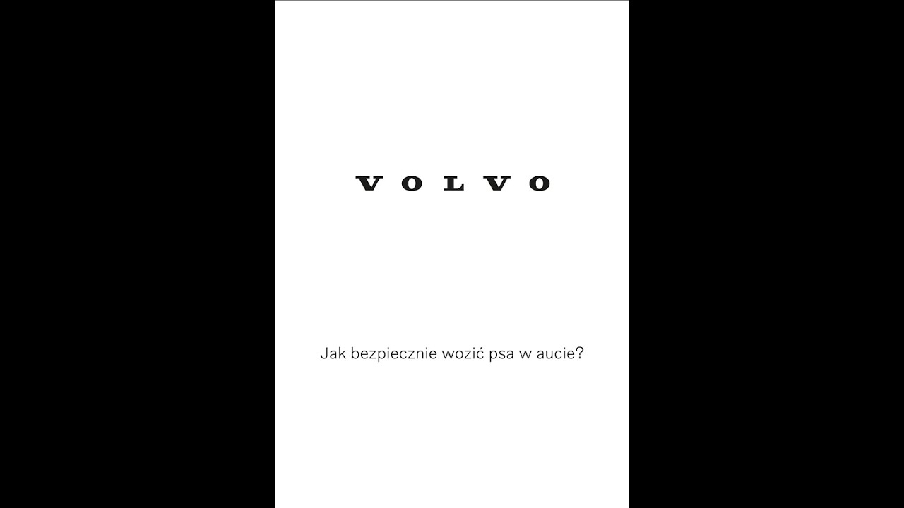 Jak bezpiecznie wozić psa w aucie?