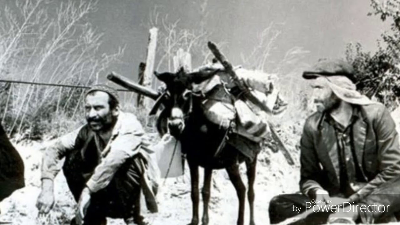 Nurettin Ren&ccedil;ber Seydo