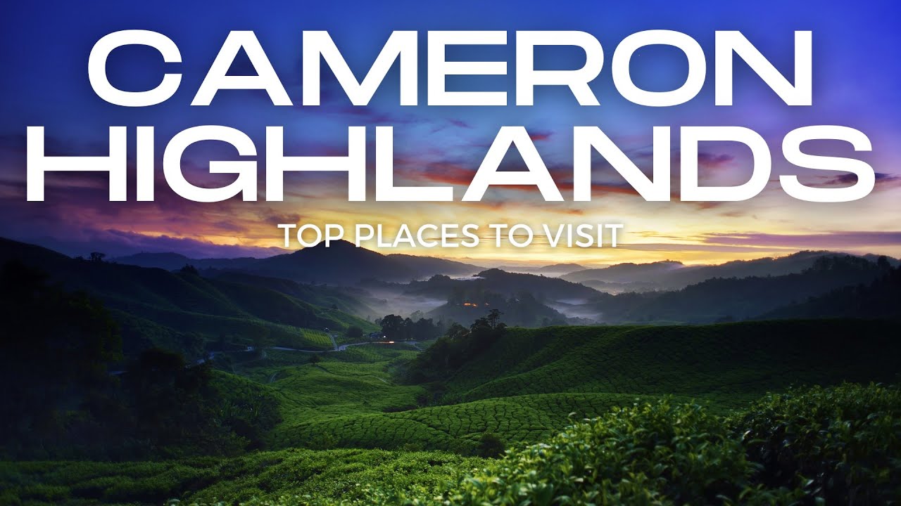 Boh Tea Plantation Cameron Highlands - Malayasia's Favourite Tea Retreat