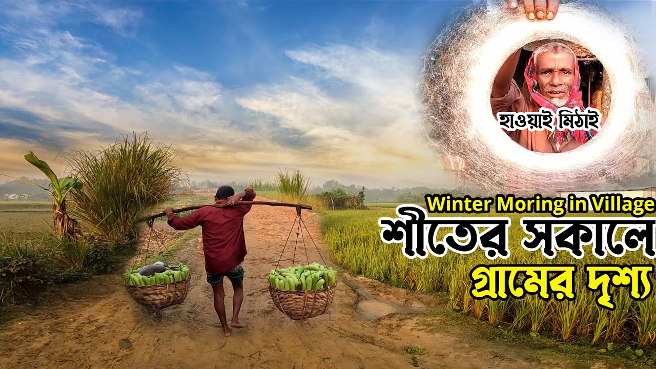 Bangladesh Village Scenery in Winter Morning। Winter in Rural Area। শীতের সকালে গ্রাম বাংলার দৃশ্য