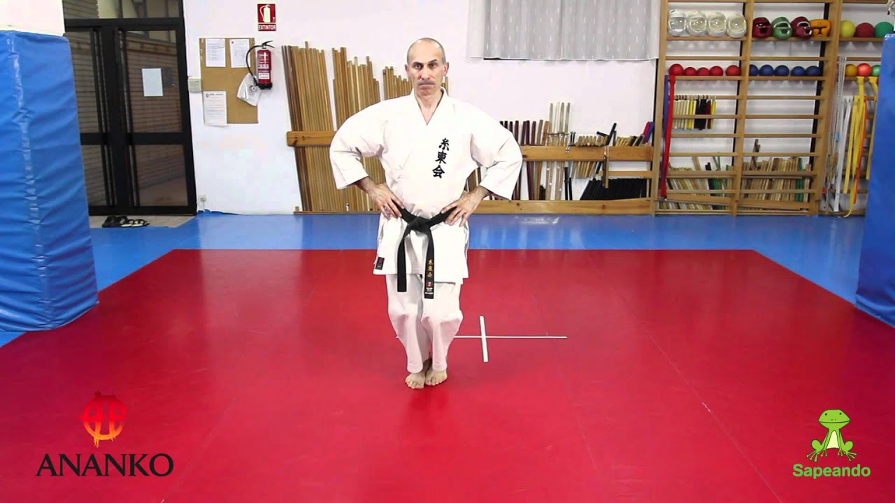 Desplazamientos 1 - Karate-do