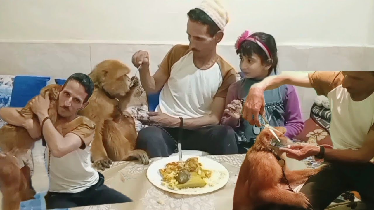 ليوما تهليت فيها ونقصت ليها لحية✂️وكلات معانا كسكسو