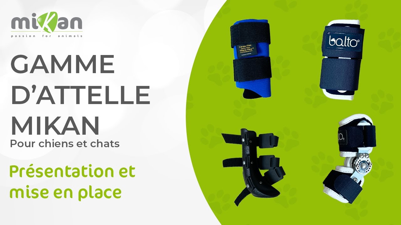 Guide de mise en place des attelles pour animaux I Mikan