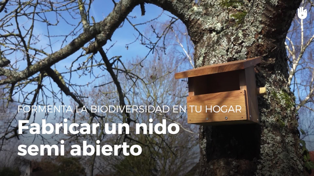 Aprende a construir un nido con ventana | Construye refugios para animales