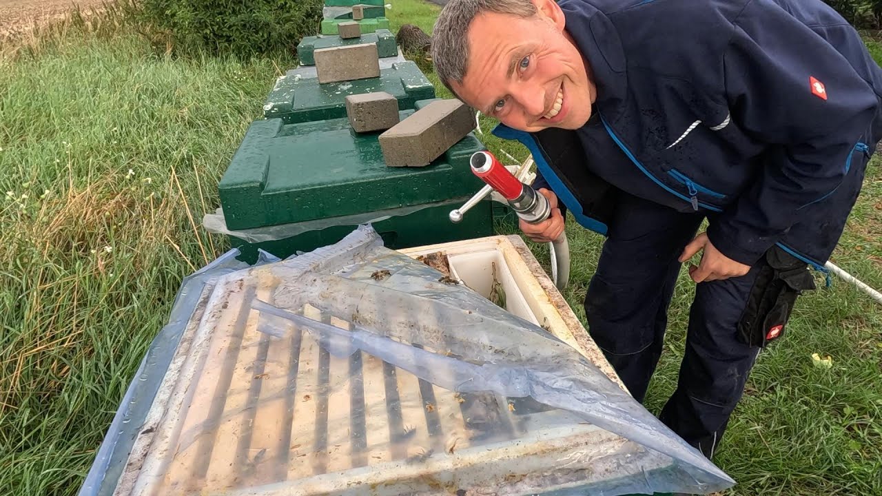 Bienen füttern für Große ;)