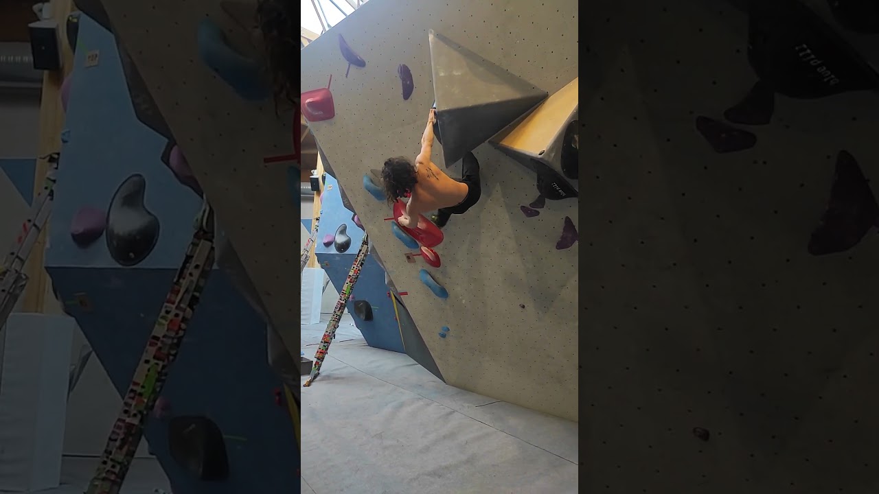 DEMO BLOC VIOLET (7C)