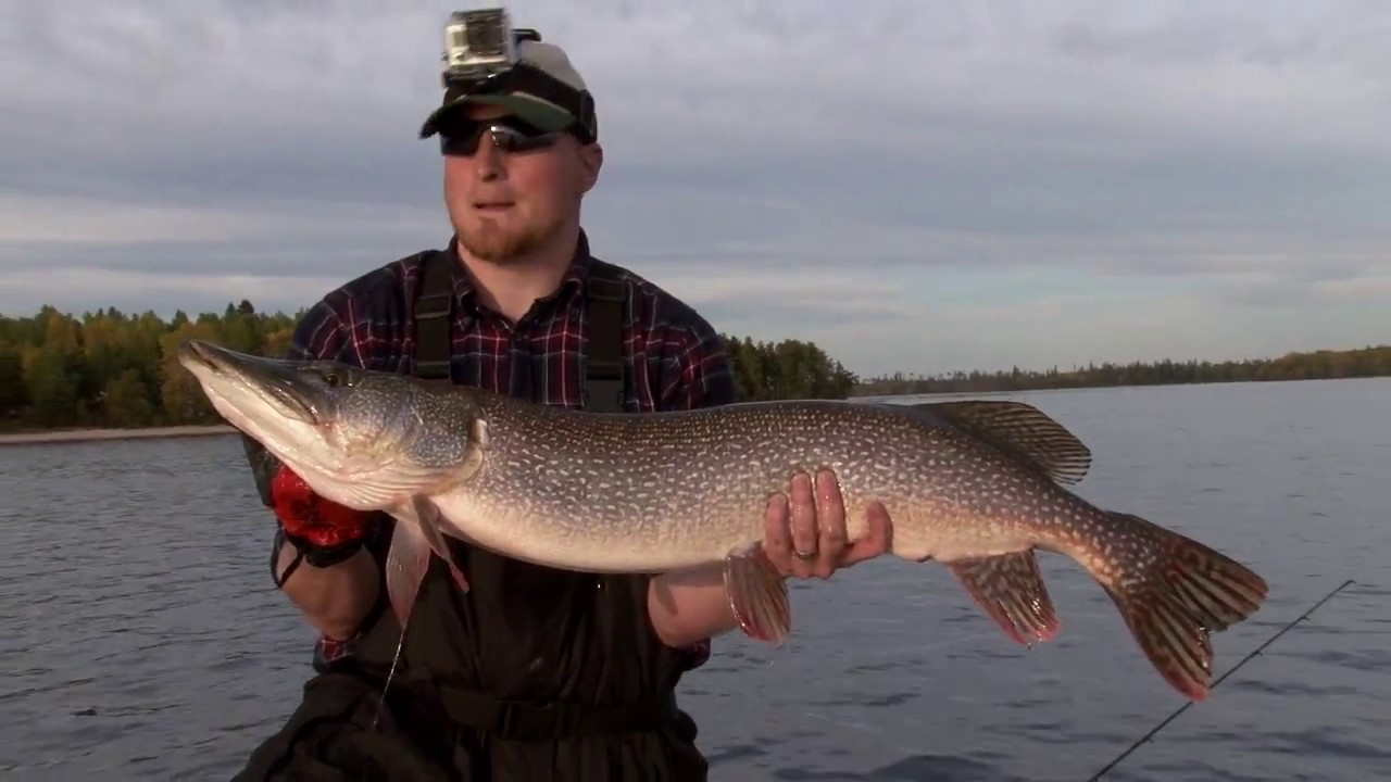 Trophy Pike Tactics: Spoons