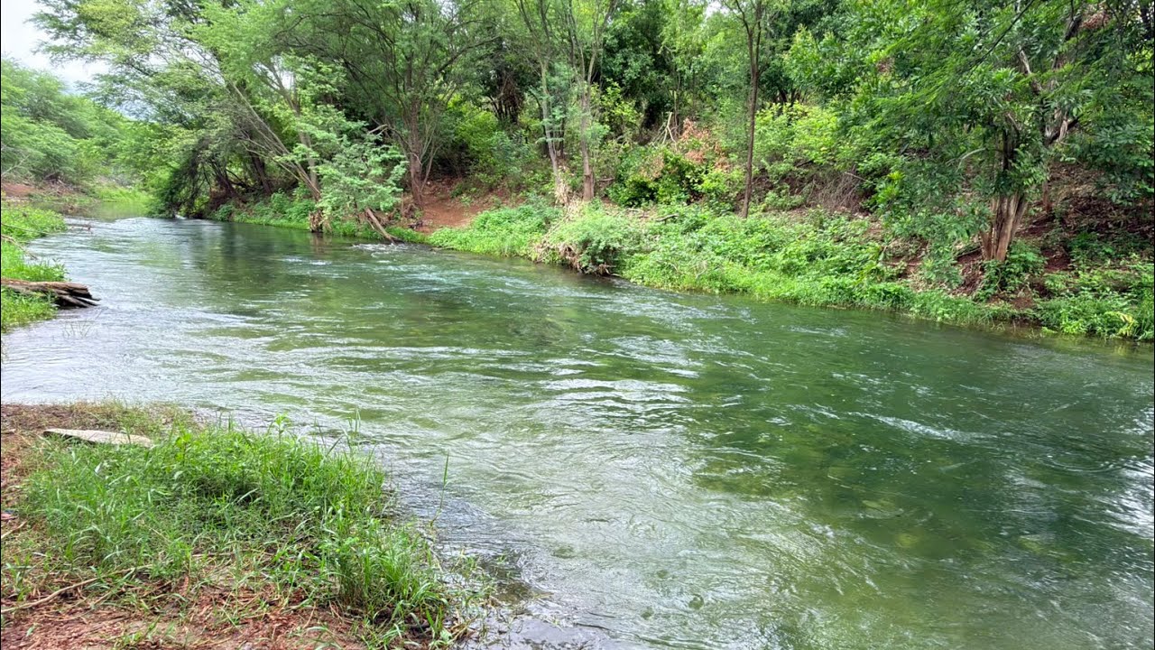 Conhecemos o famoso rio verde na Cidade de Jati no Interior do Ceará 